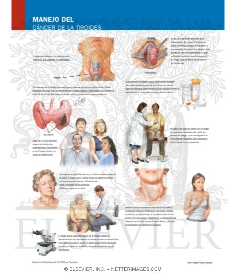 Managing Your Thyroid Cancer