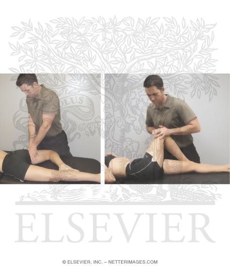 Watermarked preview of unlabeled image: Hip Mobilization Technique Used In the Management of Patients With Knee Osteoarthritis