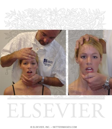 Manual Resistance Applied During Mouth Opening and Closing