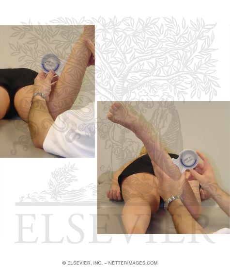 Measurement of Muscle Length With a Bubble Inclinometer