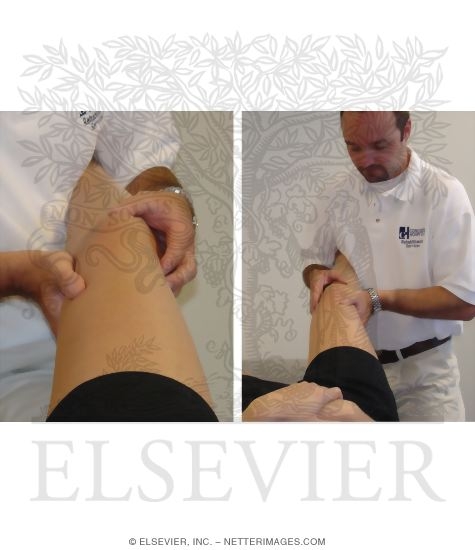 Valgus and Varus Stress Tests