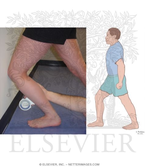 Lunge Measurements