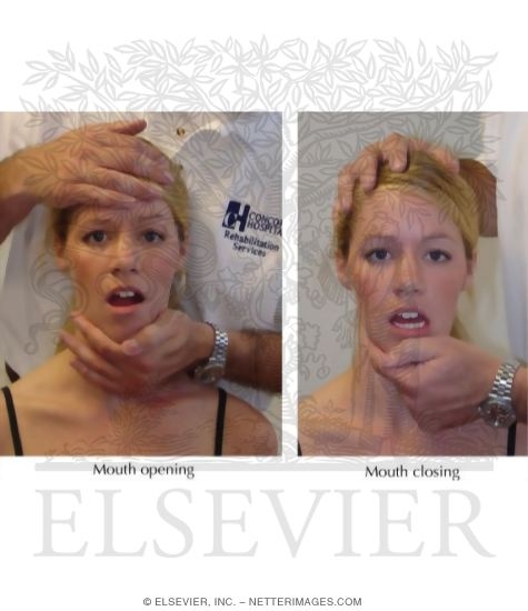 Watermarked preview of labeled image: Manual Resistance Applied During Mouth Opening and Closing