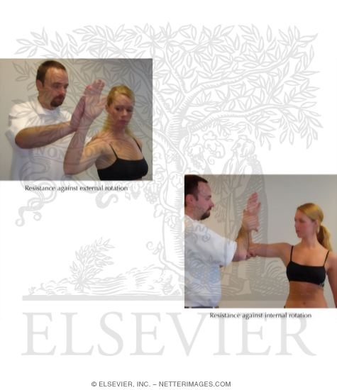Internal Rotation Resistance Strength Test