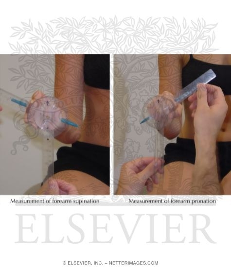 Forearm Supination and Pronation Measurements