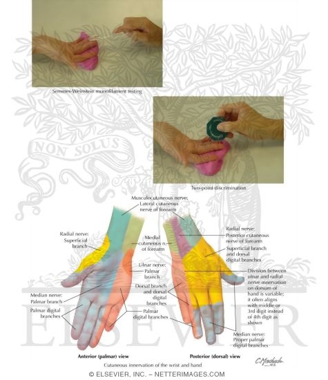 Watermarked preview of labeled image: Testing Sensation