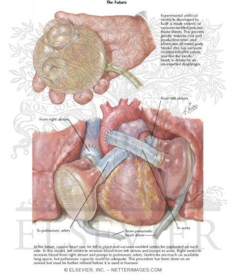 Watermarked preview of labeled image: Looking to the Future