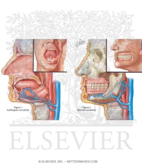 Sublingual or Buccal Administration of Steroid Hormones