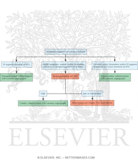Simplified Approach to Management of Patients With Symptoms Suggestive of Coronary Ischemia
