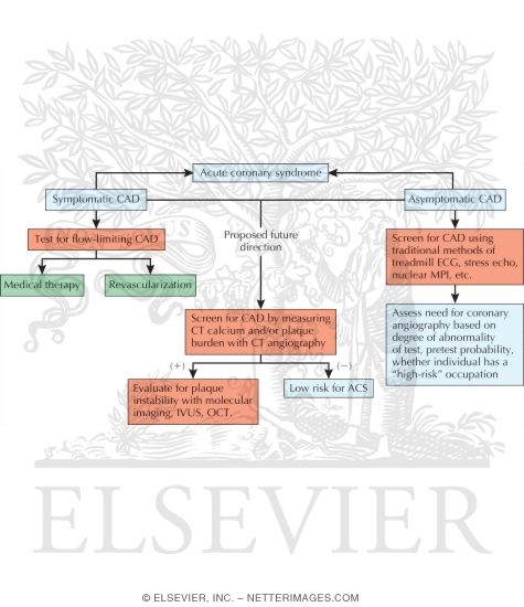 Algorithm for Differential Diagnosis of Acute Coronary Syndrome (ACS)