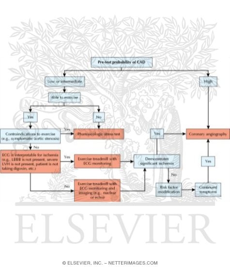 Evaluation for Hemodynamically Significant Coronary Artery Disease (CAD) In Clinically Stable Patients