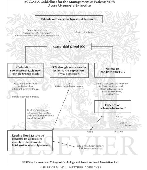 ACC$ndash;AHA Guidelines for the Management of Patients With Acute Myocardial Infarction