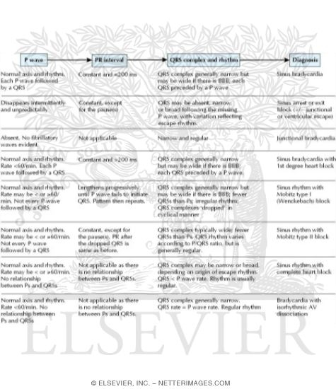 Watermarked preview of unlabeled image: Diagnostic Algorithm for Bradyarrhythmias