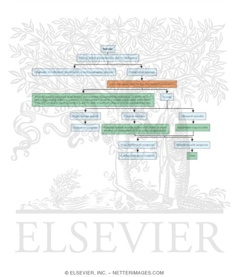 Flow Chart for the Diagnostic Approach to the Patient With Syncope