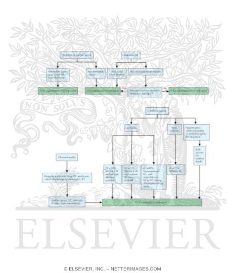 Algorithm Detailing Evaluation of Patients With Sudden Cardiac Death And-or Tachyarrhythmias and Indications for Implantable Cardiac Defi Brillator (ICD) Implantation