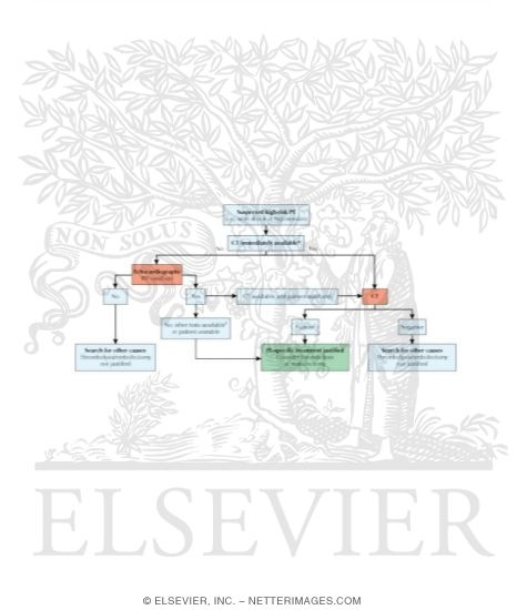 Watermarked preview of unlabeled image: Algorithm for Patients With Suspected High-risk Pulmonary Thromboembolism (PE)