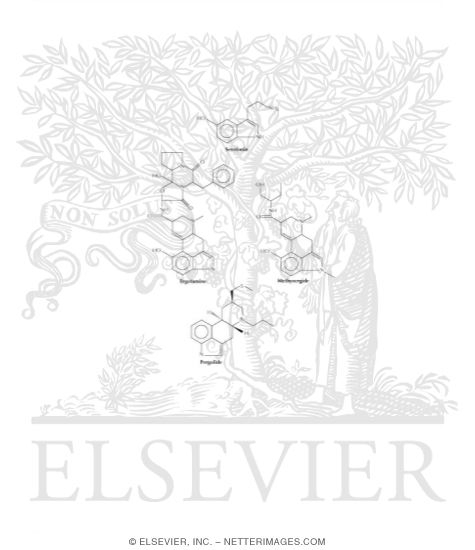 Chemical Structures of Serotonin, Ergotamine, Methysergide, and Pergolide
