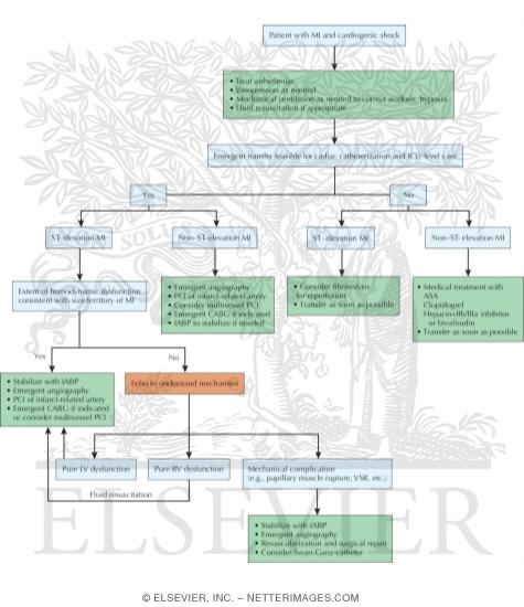Watermarked preview of unlabeled image: General Approach to Treatment of Acute Myocardial Infarction (MI) and Cardiogenic Shock