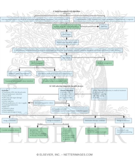 Ventricular Assist Device Selection Algorithm