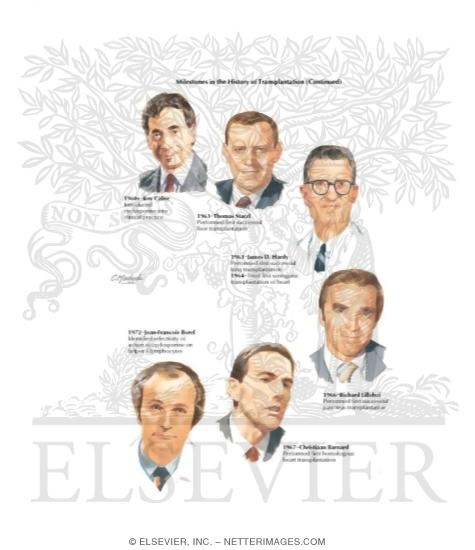 Watermarked preview of labeled image: Milestones In the History of Transplantation