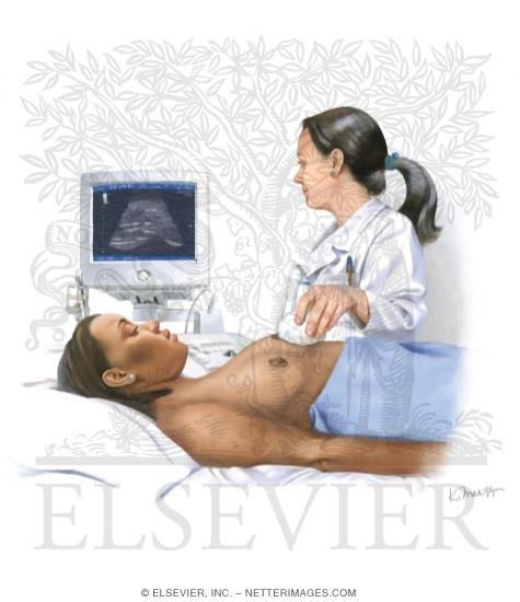 Watermarked preview of unlabeled image: Breast Imaging