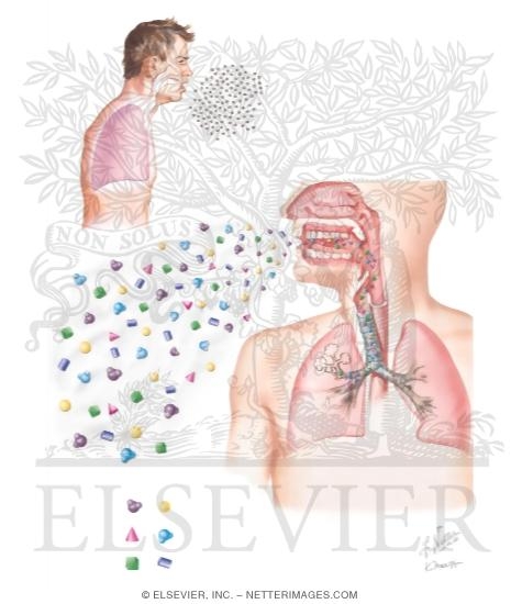 Watermarked preview of unlabeled image: Exhaled Breath Analysis
