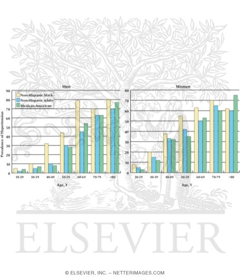 Watermarked preview of unlabeled image: Prevalence of High Blood Pressure By Age and Race / Ethnicity for Men and Women In US 18 Years Or Older