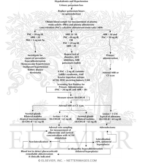 Watermarked preview of labeled image: Diagnostic Approach to Patients With Suspected Primary Aldosteronism