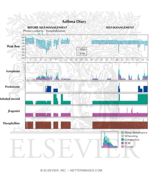 Watermarked preview of labeled image: Asthma Diary