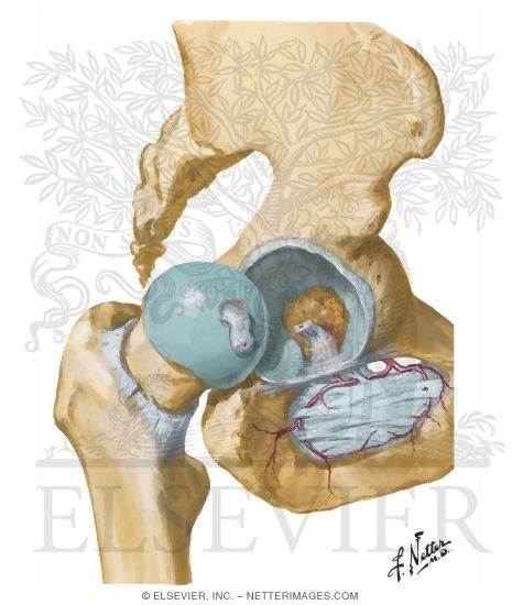 Watermarked preview of unlabeled image: 