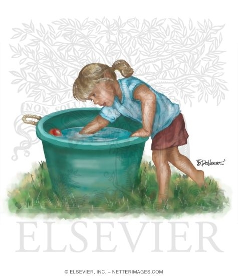 Watermarked preview of unlabeled image: Toddlers and Their High Center of Gravity