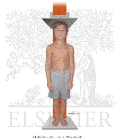 Watermarked preview of unlabeled image: Proper Measurement Techniques: Standing Height