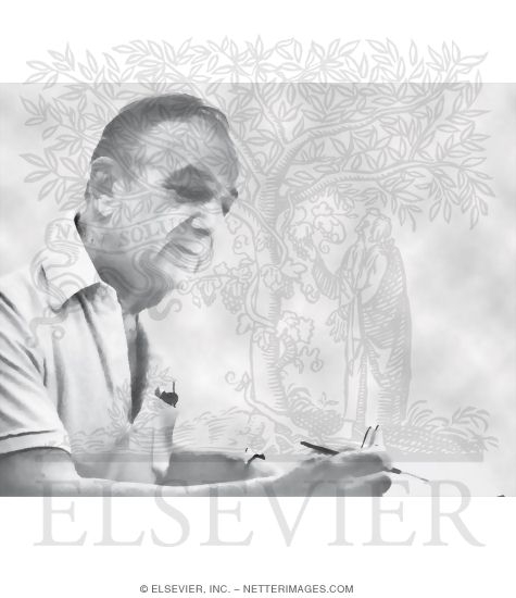 Watermarked preview of unlabeled image: Frank Netter