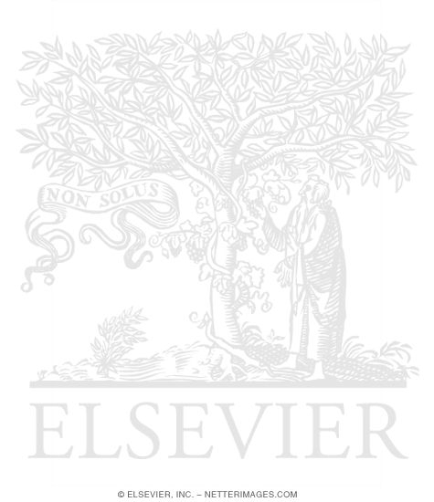 Watermarked preview of labeled image: Pulmonary Vascular Endothelium