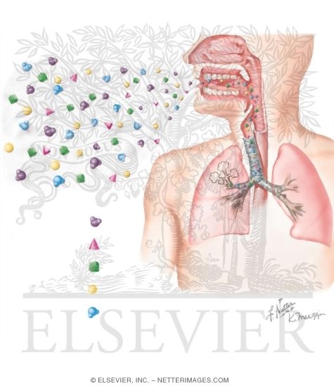 Exhaled Breath Analysis