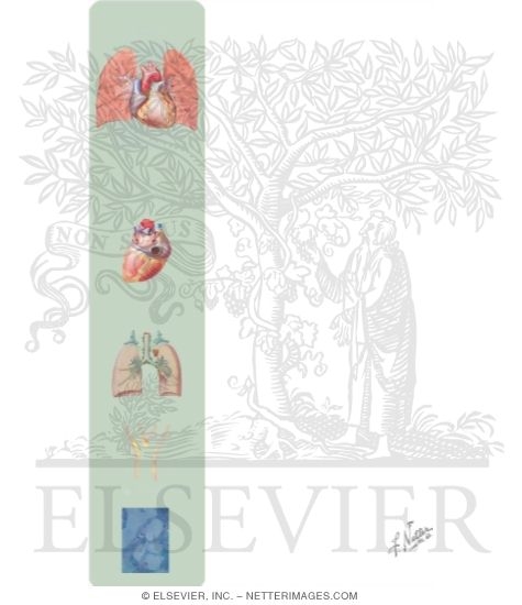 Watermarked preview of unlabeled image: WHO Classification System of Pulmonary Hypertension