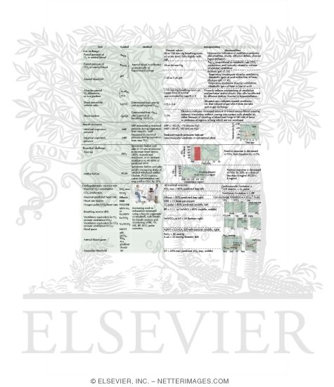 Watermarked preview of labeled image: Tests of Pulmonary Function: Ergometer