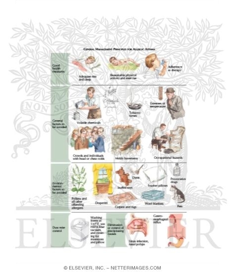 Watermarked preview of labeled image: Bronchial Asthma