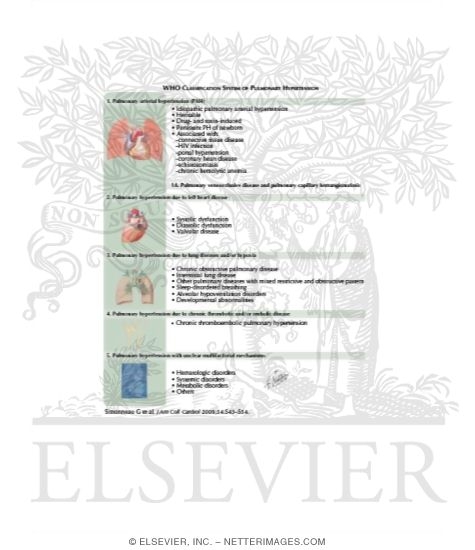 Watermarked preview of labeled image: WHO Classification System of Pulmonary Hypertension