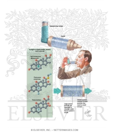 Watermarked preview of labeled image: Pulmonary Pharmacology