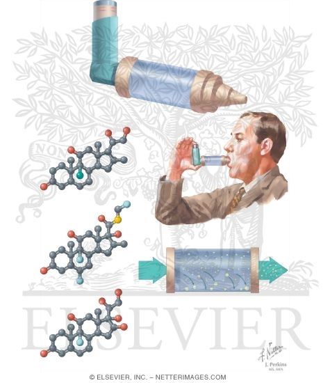 Watermarked preview of unlabeled image: Pulmonary Pharmacology