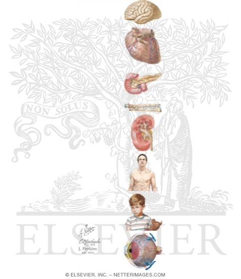 Watermarked preview of unlabeled image: Pulmonary Pharmacology