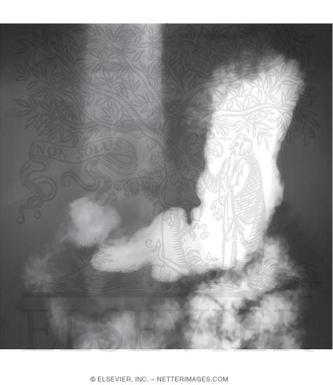 Barium Radiograph of the Stomach, Duodenum, and Proximal Jejunum