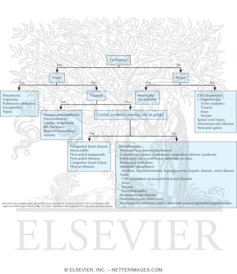 Watermarked preview of unlabeled image: Approach to the Child With Respiratory Distress