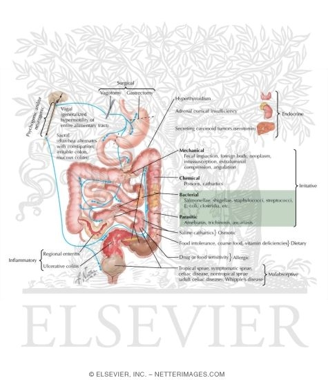 Watermarked preview of labeled image: Diarrhea