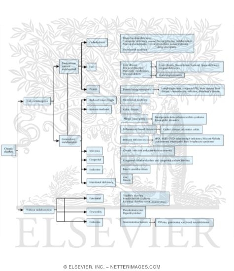 Differential Diagnosis of Chronic Diarrhea