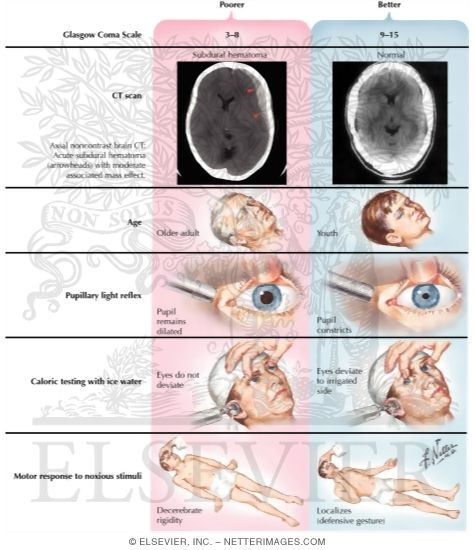 Prognosis In Severe Head Injuries