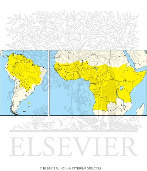 Worldwide Distribution of Yellow Fever