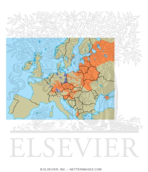 Watermarked preview of unlabeled image: Geographic Distribution of Tick-borne Encephalitis
