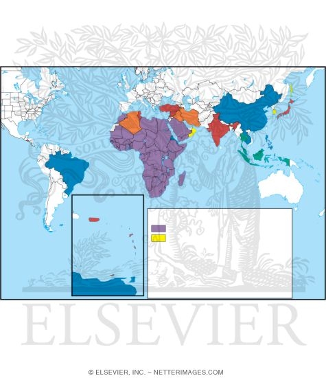 Map Showing Global Distribution of Schistosomiasis
